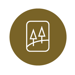 black mountain golf course players card graphic